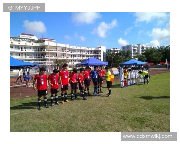 杭州足球队心理素质深度对比与影响因素分析