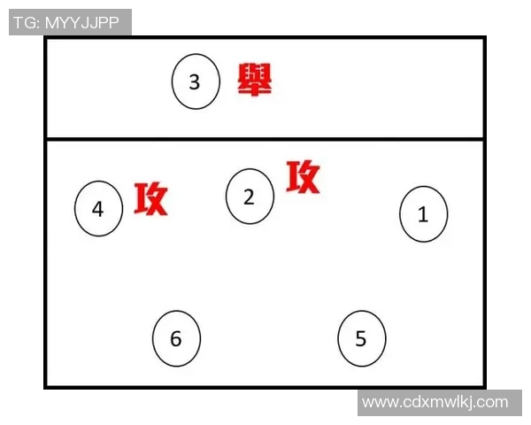南京排球队进攻战术深度解析与实战应用探讨